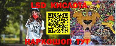 PSILOCYBIN Сланцы