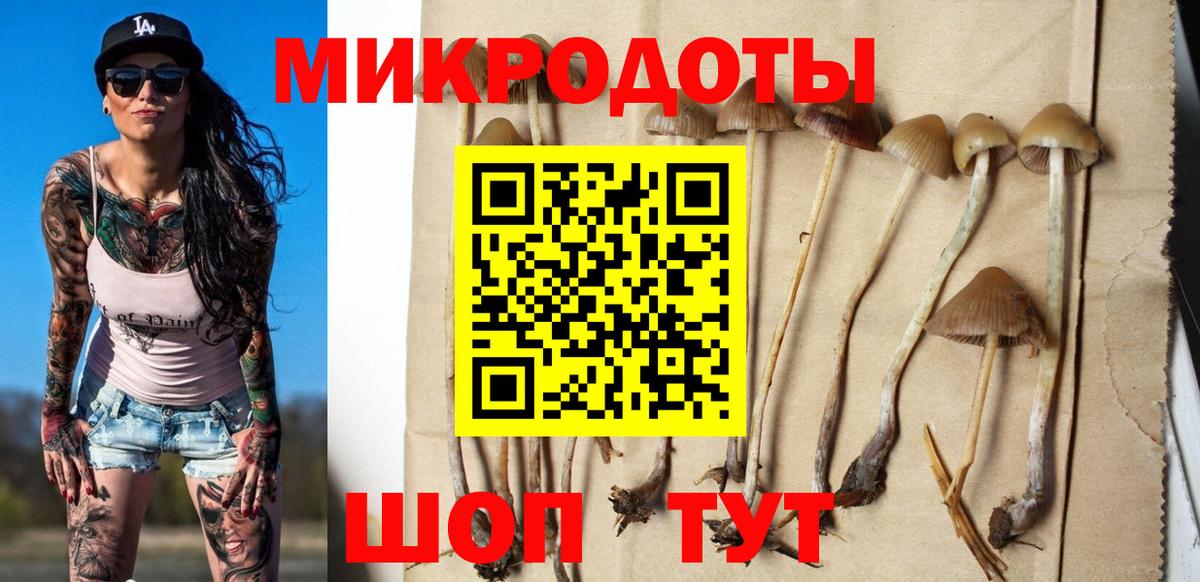 Галлюциногенные грибы Magic Shrooms Псков