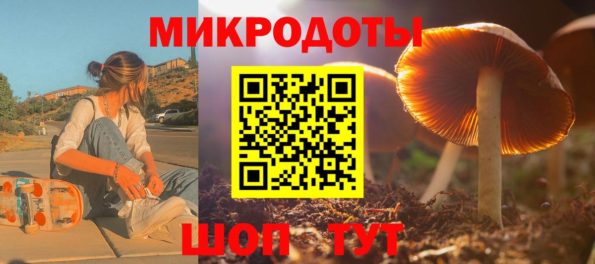 Псилоцибиновые грибы Psilocybine cubensis  Галлюциногенные грибы Psilocybe  закладки  Вход с VPN  Псков 